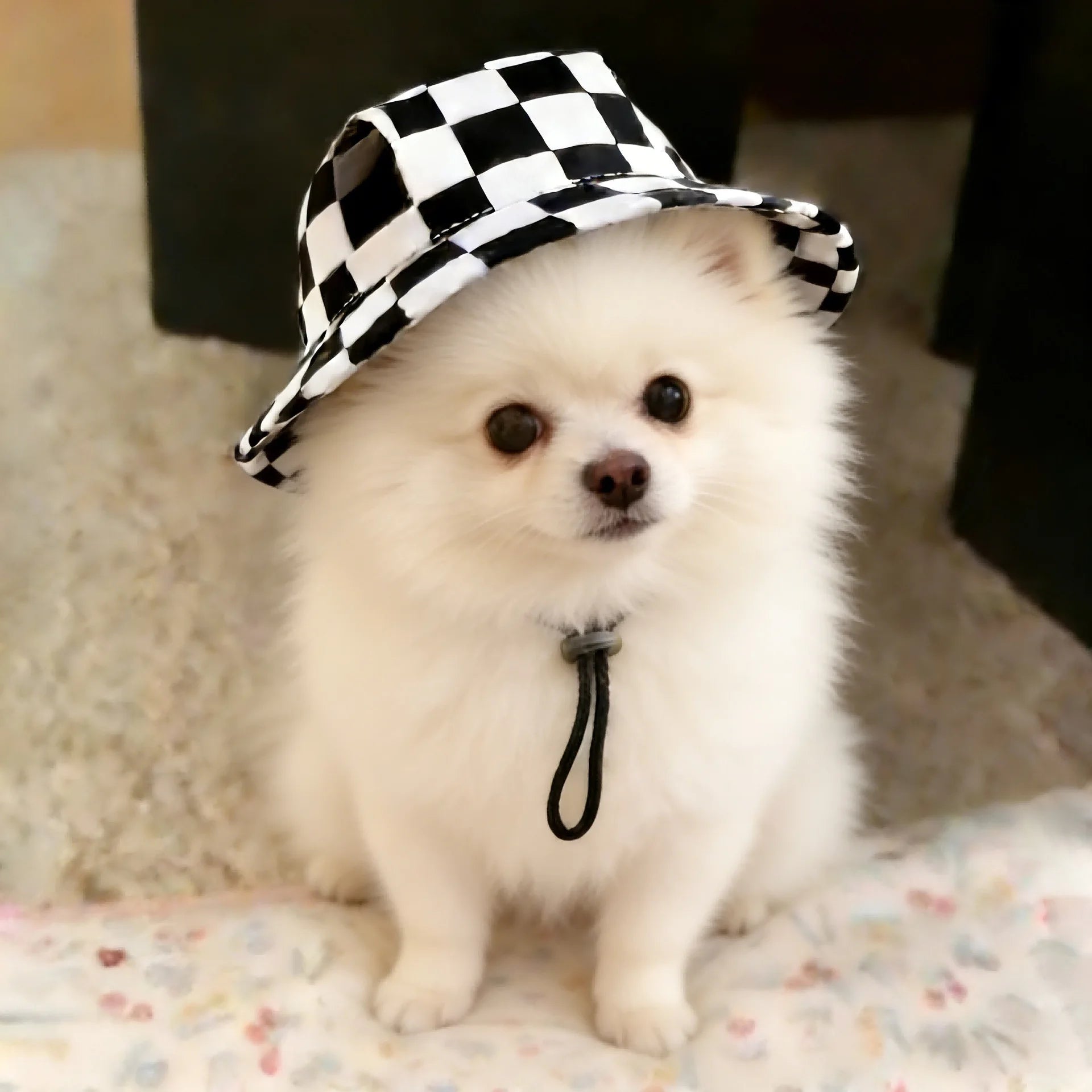 Lunaelle™ Mini Cowboy Pet Hat – Cute Western Costume Cap for Cats & Small Dogs