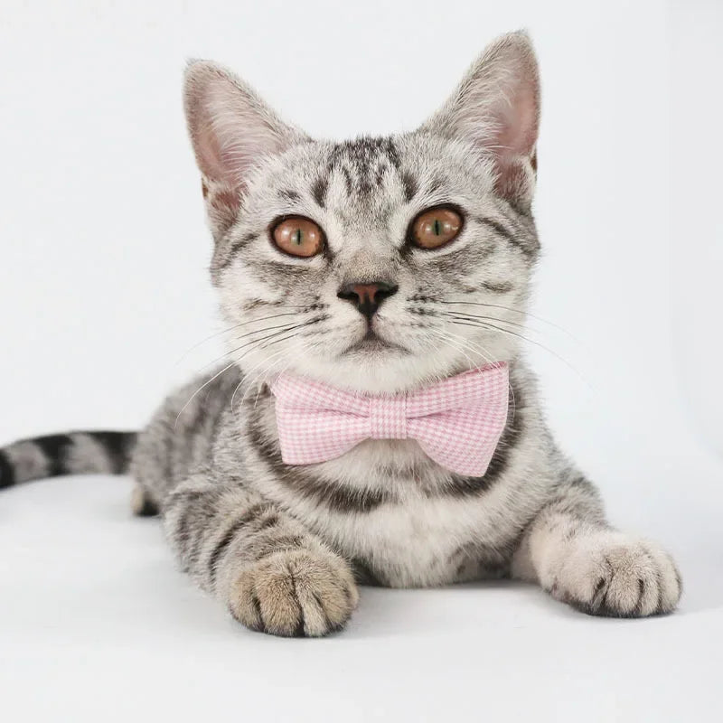 Lunaelle™ Bow Cat Collar