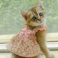 Lunaelle™ Pink Summer Dress for Cats