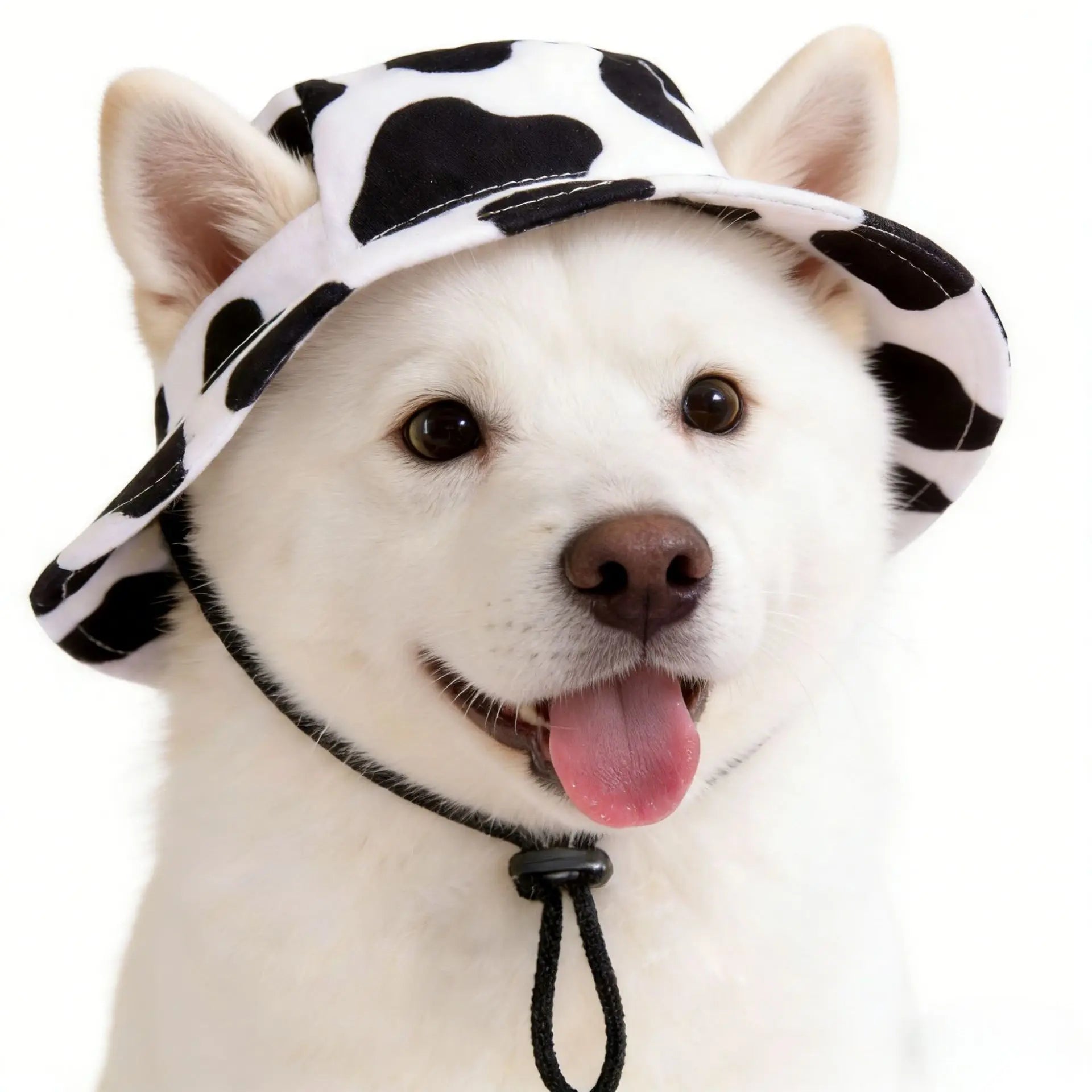 Lunaelle™ Mini Cowboy Pet Hat – Cute Western Costume Cap for Cats & Small Dogs