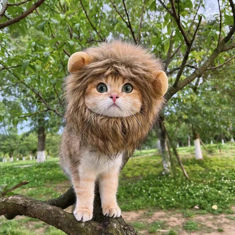 Lunaelle™ Lion Mane Pet Costume Hat – Cute Cat & Dog Cosplay Wig with Ears